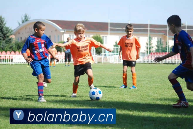 星空体育中国官方网站APP 封面图